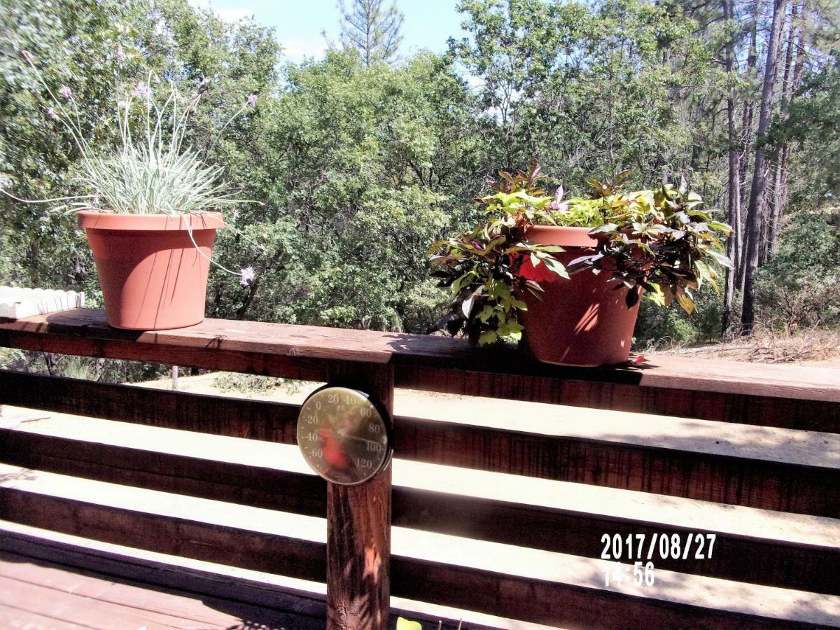 The Cub Inn B&B Groveland Εξωτερικό φωτογραφία
